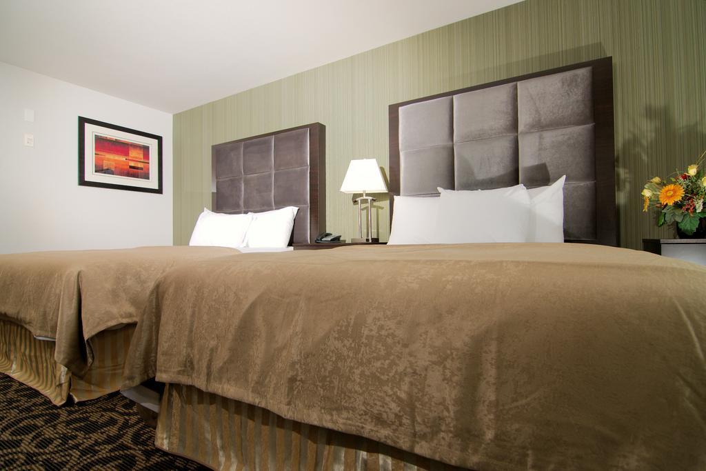 Paradise Inn And Suites Redwater Zimmer foto